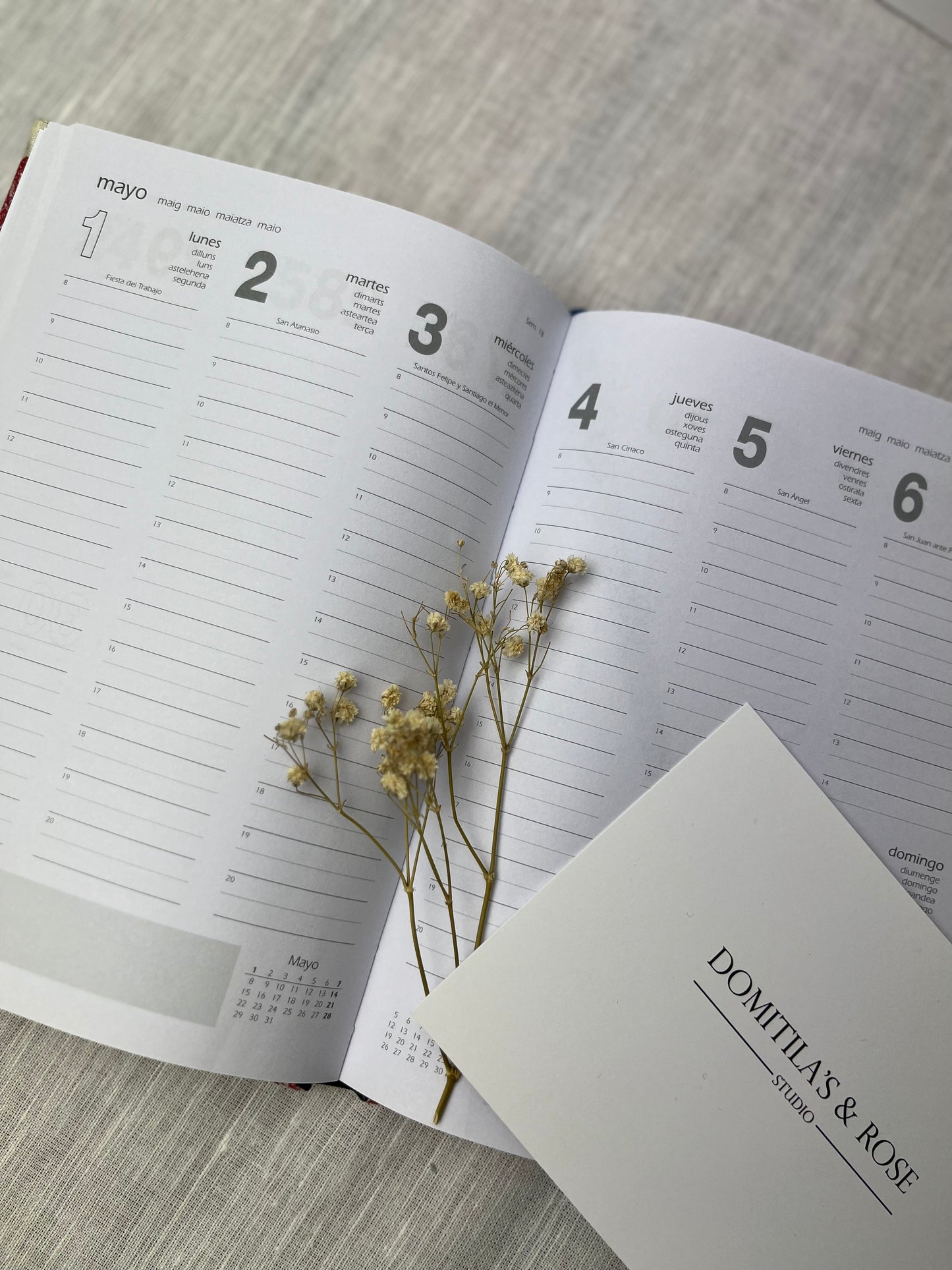 Agenda Domitila’s & Rose 24/25